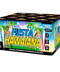 BATERIA FESTA HAWAIANA