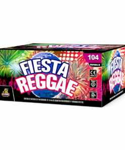 BATERIA FESTA RAGGAE